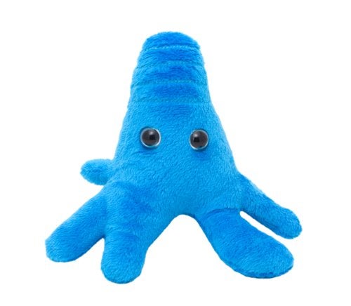 Giant Microbes GIANTmicrobes Amoeba Plush Learn About Nature and Biology with This Cuddly Plush Unique Gift for Family Friends Water Lovers Scientists Educators and Students - Image 1