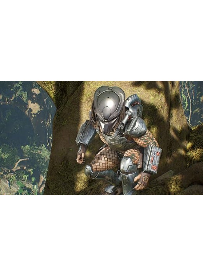 سوني لعبة فيديو "Predator Hunting Grounds" (إصدار عالمي) - playstation_4_ps4 - Image 2