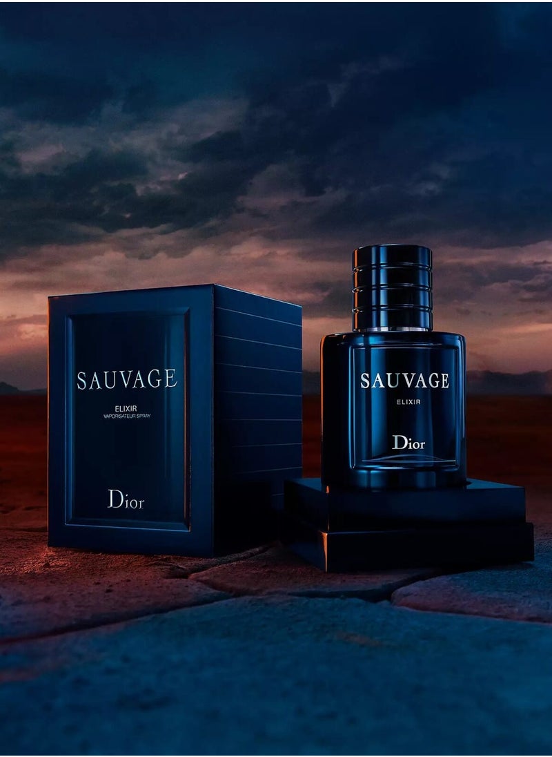 ELIXIR - Sauvage Elixir Extrait De Parfum 100ml - Image 1