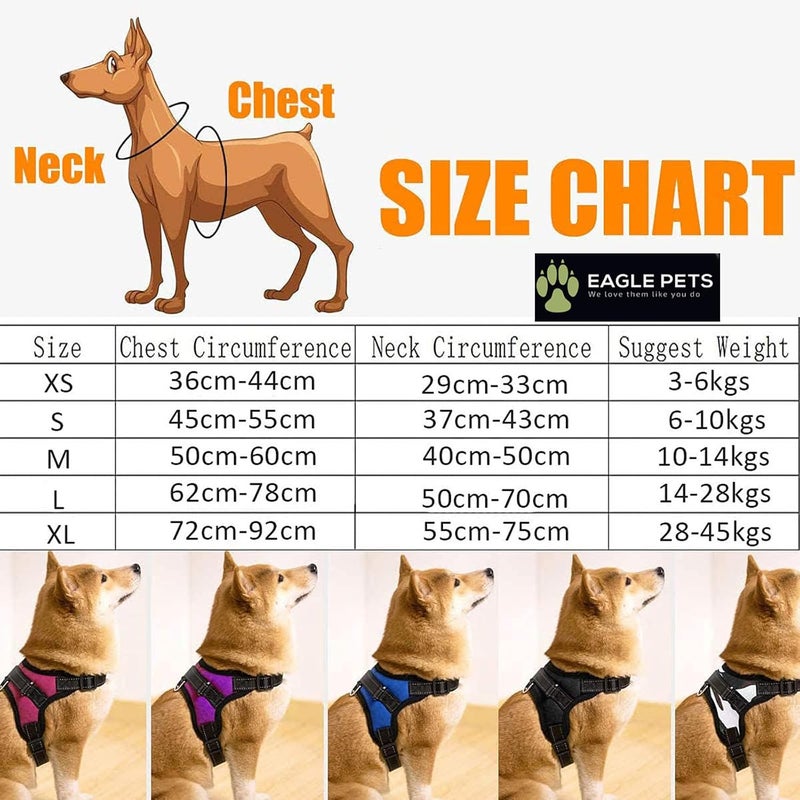 Eagle Pets Cats & Puppy Harness for Small Dogs - Nigh Reflective - Oxford Fabric - Adjustable Buckles - Dog Chest Belt for Small Dogs (XS, Retro) - Image 2