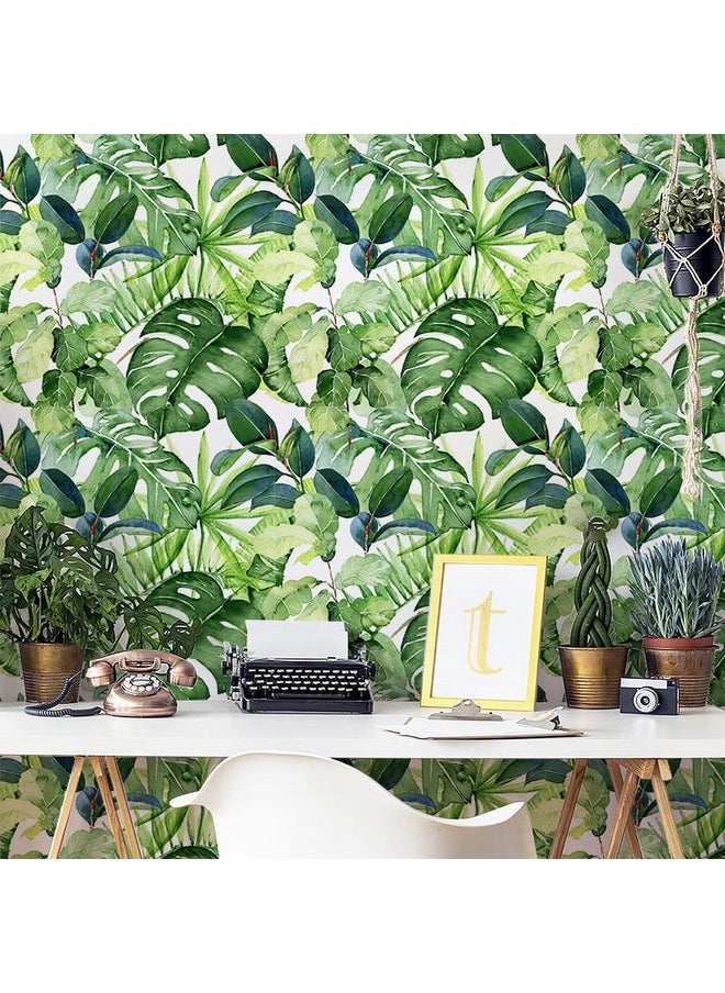 HAOKHOME HAOKHOME 93143 Tropical Wallpaper Peel and Stick Palm Leaves Removable Stick on Home Decor 17.7in x 118in  - Image 3