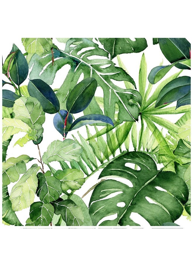 HAOKHOME HAOKHOME 93143 Tropical Wallpaper Peel and Stick Palm Leaves Removable Stick on Home Decor 17.7in x 118in  - Image 1