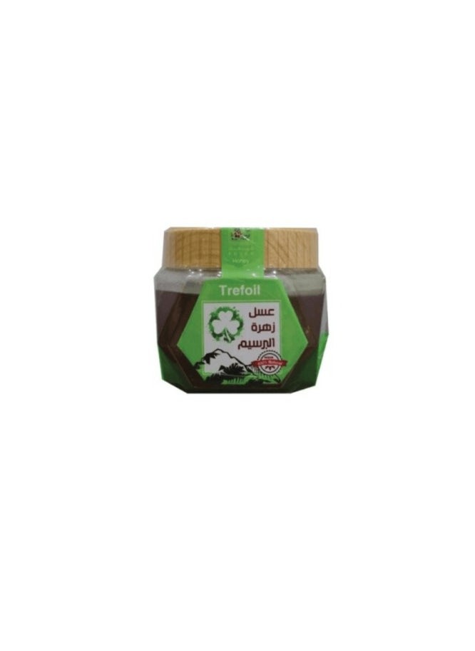 FAYFA Fayfa Clover Blossom Honey 500g 