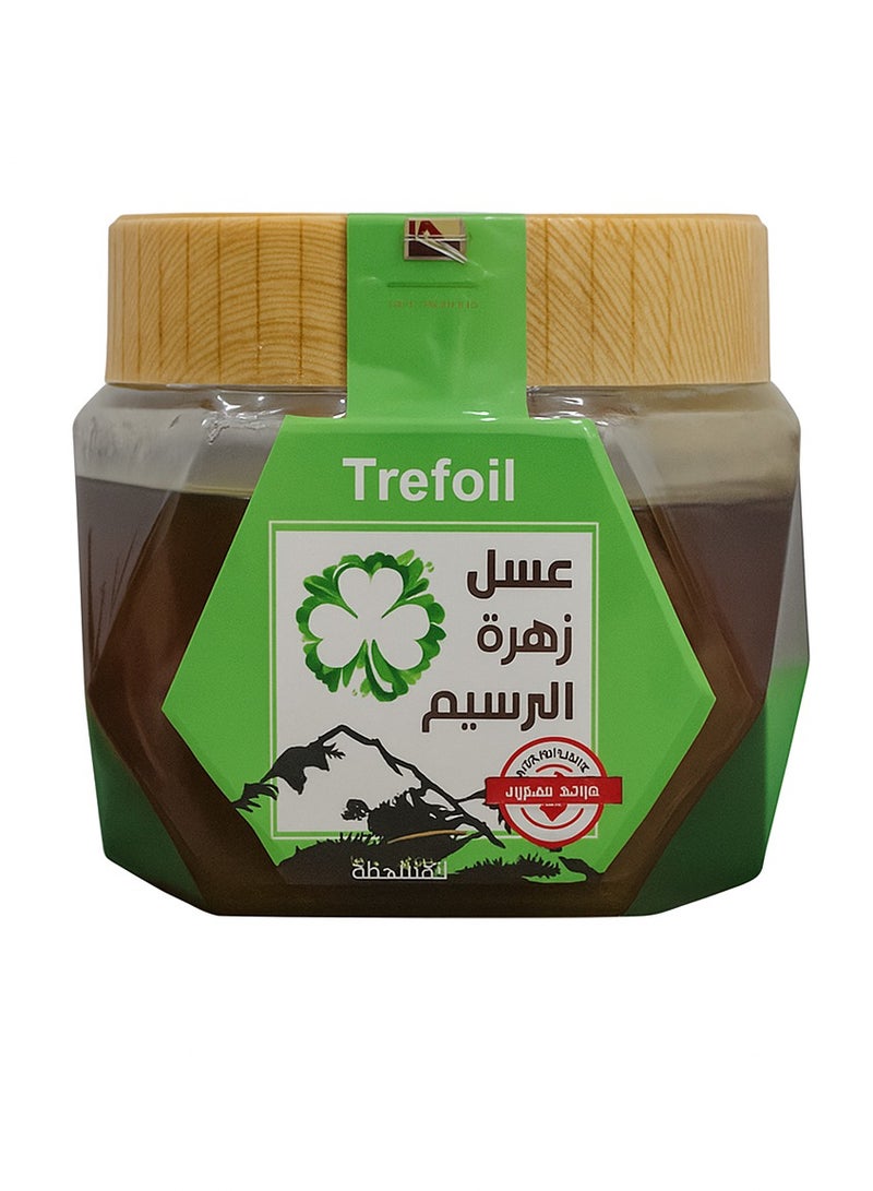 FAYFA Fayfa Clover Blossom Honey 500g