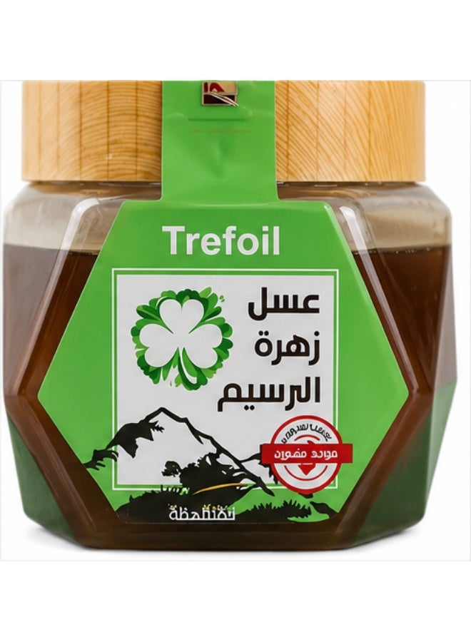 فايفا فيفاء عسل زهرة البرسيم 500 جم - Image 3