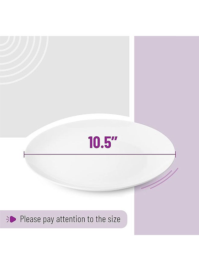 اطباق تقديم بورسلين عدد 12 - Image 5