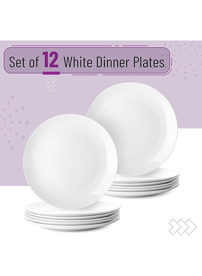 اطباق تقديم بورسلين عدد 12 - Image 4