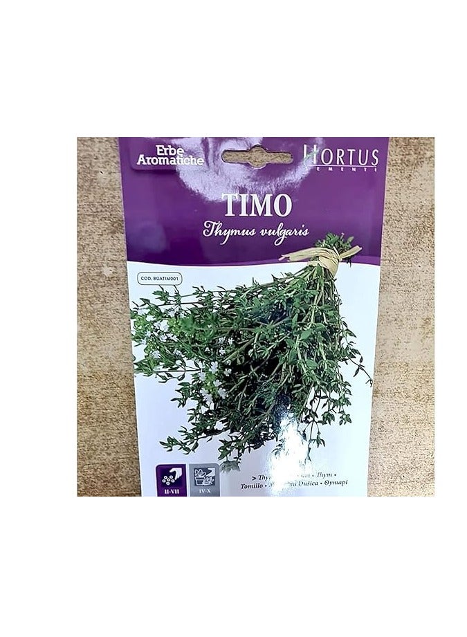 Generic Thyme Timo Herb premium Quality Seeds by Hortus"Garden Care" 