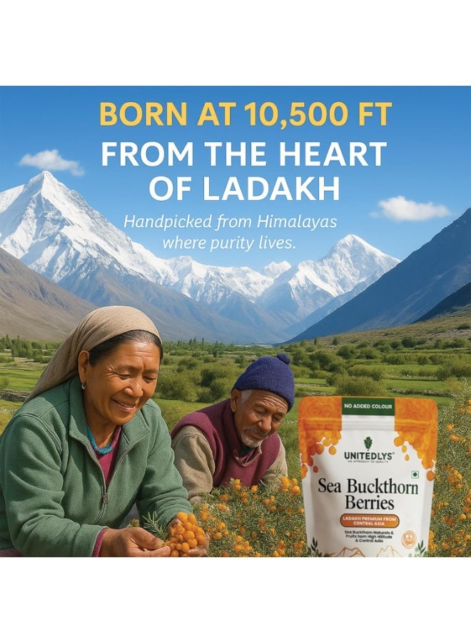 Unitedlys Himalayan Sea Buckthorn Berry 100g | Sun-Dried, Natural & Unsweetened | Rich in Omega 3 6 7 9, Vitamin C & E | Dried Sea Buckthorn Berry for Skin, Immunity, Gut & Heart | No Preservatives - Image 4