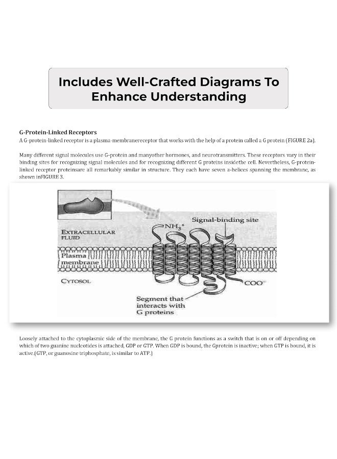 UGC NET Paper II Life Science (Vol 2) Topic-wise Notes (English Edition) | A Complete Preparation Study Notes to Ace Your Exams  - Image 4