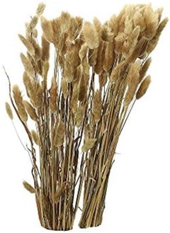 Yatai Pack Of 2 Natural Dried Lagurus Ovatus Flowers Rabbit Tail Grass Dried Flowers Spray Preserved Flower For Home Table Vase Centerpieces Holiday Ornament Dried Flowers For Decoration (2) - pzsku/ZB303EDCC72DD2559598FZ/45/_/1716820483/e5690252-cba5-40f5-9fa3-798bd33e0813