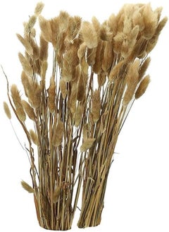 Yatai Pack Of 2 Natural Dried Lagurus Ovatus Flowers Rabbit Tail Grass Dried Flowers Spray Preserved Flower For Home Table Vase Centerpieces Holiday Ornament Dried Flowers For Decoration (2) - pzsku/ZB303EDCC72DD2559598FZ/45/_/1716820489/9f2825b4-bf27-417c-8aed-0d305c6b3e19