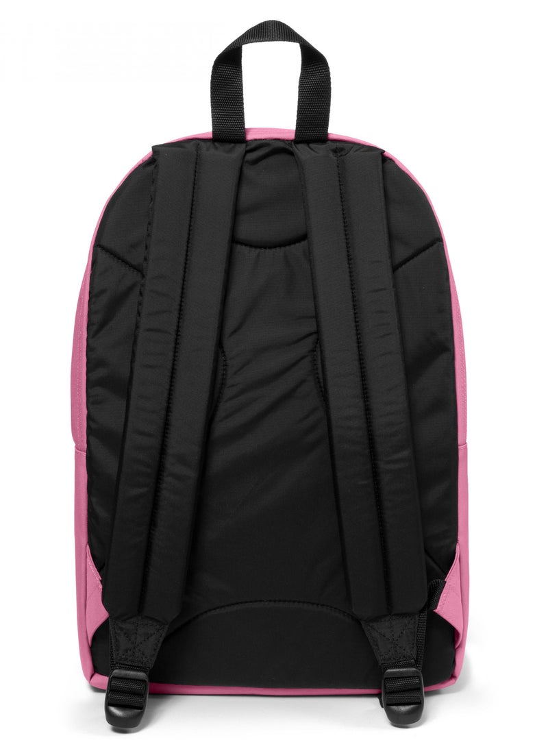 Back To Work Medium Laptop Backpack Pink - pzsku/ZB305010425038DF496D5Z/45/_/1723812051/f8799d69-b5e2-4d69-ab7f-b0978fb2ce6c