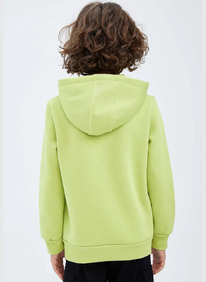 DeFacto Boy Regular Fit Hooded Long Sleeve Knitted Sweatshirt