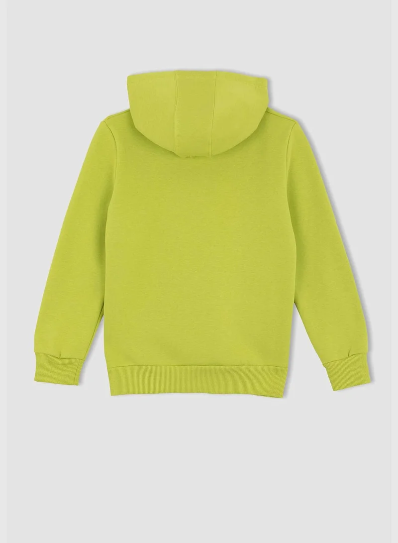 DeFacto Boy Regular Fit Hooded Long Sleeve Knitted Sweatshirt