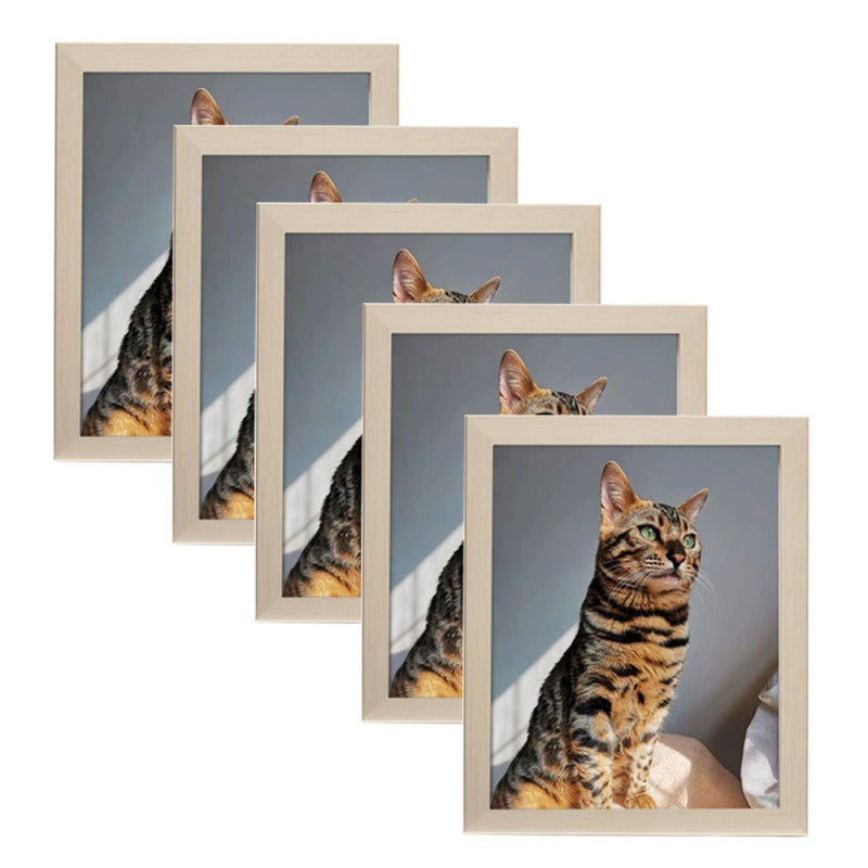 Rectangular White Wood Picture Frame 5 Pack 8 X 10 Inch Display - Durable Glass Front for Art Prints - Horizontal or Vertical for Home Wall Table Decor - Image 1