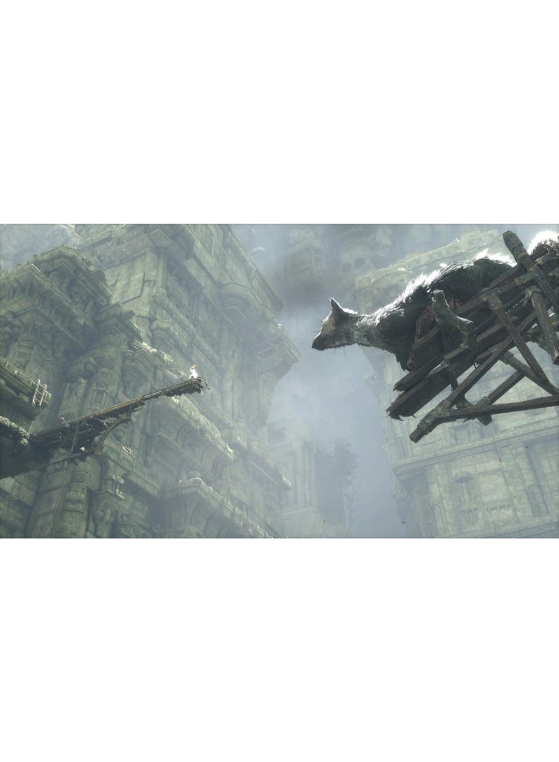 سوني إنترآكتيف إنترتيمنت The Last Guardian (PS4) – لعبة مغامرة قصصية / ألغاز وأكشن - ps4_ps5 - Image 5