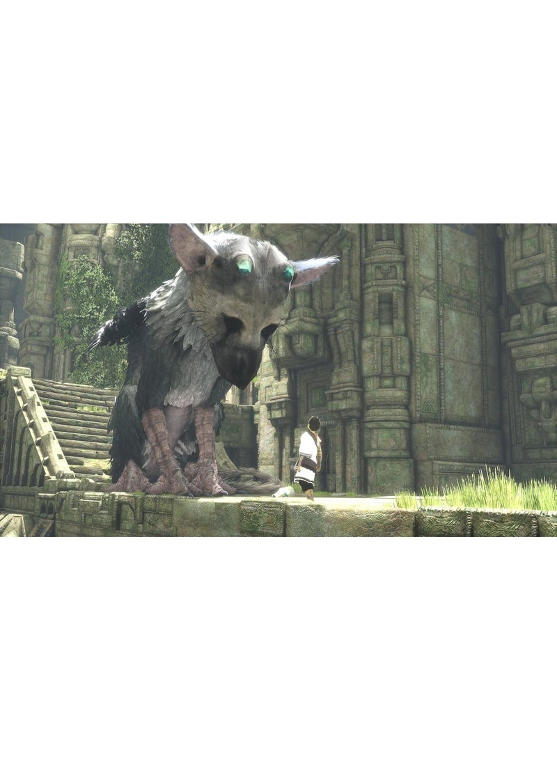 سوني إنترآكتيف إنترتيمنت The Last Guardian (PS4) – لعبة مغامرة قصصية / ألغاز وأكشن - ps4_ps5 - Image 2