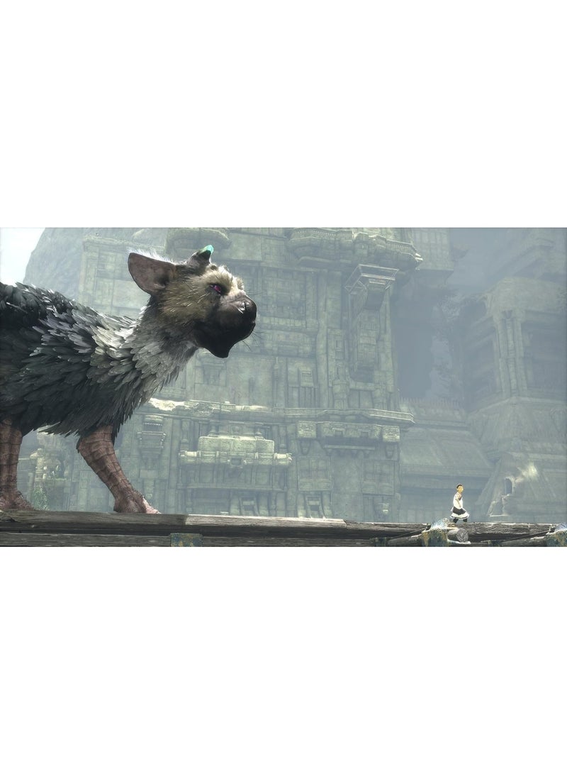 سوني إنترآكتيف إنترتيمنت The Last Guardian (PS4) – لعبة مغامرة قصصية / ألغاز وأكشن - ps4_ps5 - Image 4