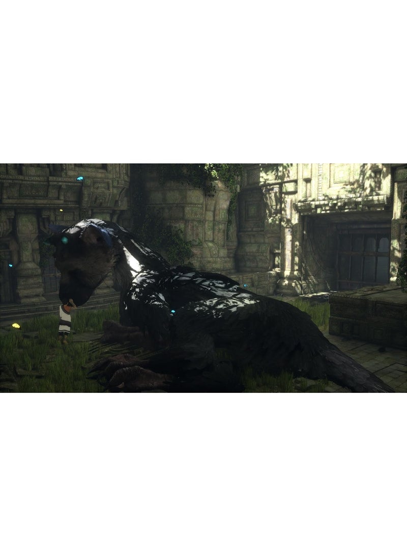 سوني إنترآكتيف إنترتيمنت The Last Guardian (PS4) – لعبة مغامرة قصصية / ألغاز وأكشن - ps4_ps5 - Image 3
