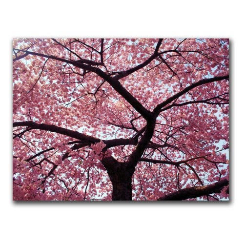 Trademark Fine Art Cherry Tree by CATeyes, 18x24-Inch Canvas Wall Art - Image 2