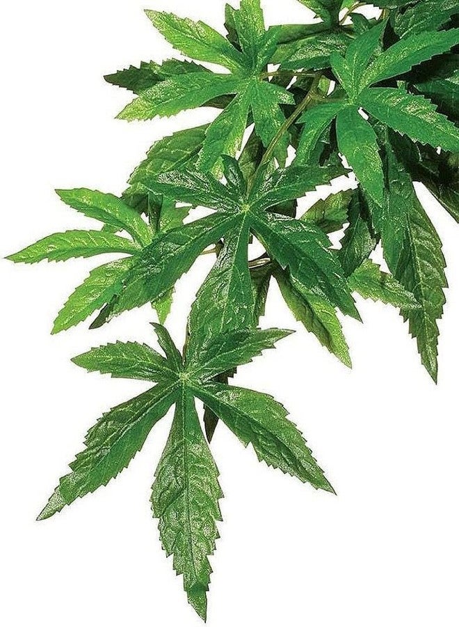 Exo Terra Silk Terrarium Plant, Medium, Abutilon - Image 4