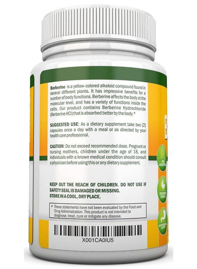NutriONN Berberine 1200Mg Per Serving 90 Vegetarian Capsules Pure Berberine Hcl Extract Supplement Superior Potency To Support Immune Health - Image 4