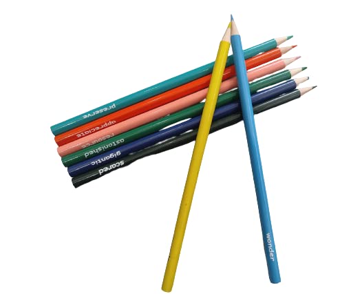 Toodles Learning Vocabulary Building Colour Pencils Set Drawing Kit Pencil Set Art Kit Pencil Colors Set for Gifting 32 Pencils - Image 1
