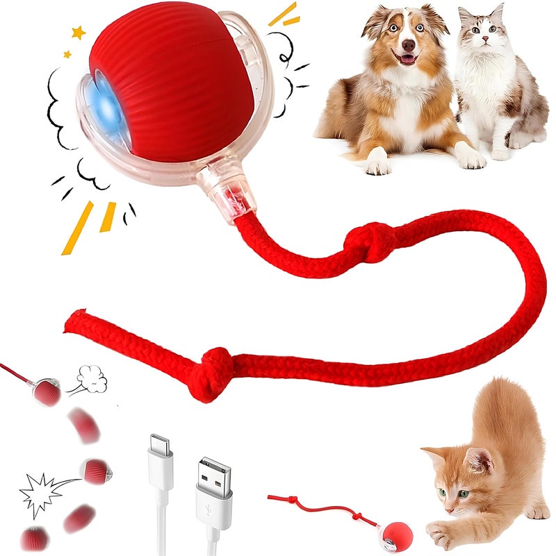 Purrmitive 2026 ألعاب القطط التفاعلية المتينة للقطط الداخلية، كرة ألعاب الكلاب، كرة حيوانات أليفة دوارة، لعبة مطاردة القطط الذكية الأوتوماتيكية، ألعاب الكلاب التفاعلية بذيل سريع، ألعاب القطط والقطط التفاعلية (أحمر) - Image 1