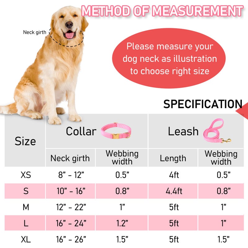 GAMUDA Velvet Dog Collar and Leash, Super Soft and Smooth, Heavy Duty Gold Buckle, Comfortable and Easy to Clean, Adjustable Collar for Dog (S, Pink) - Image 4
