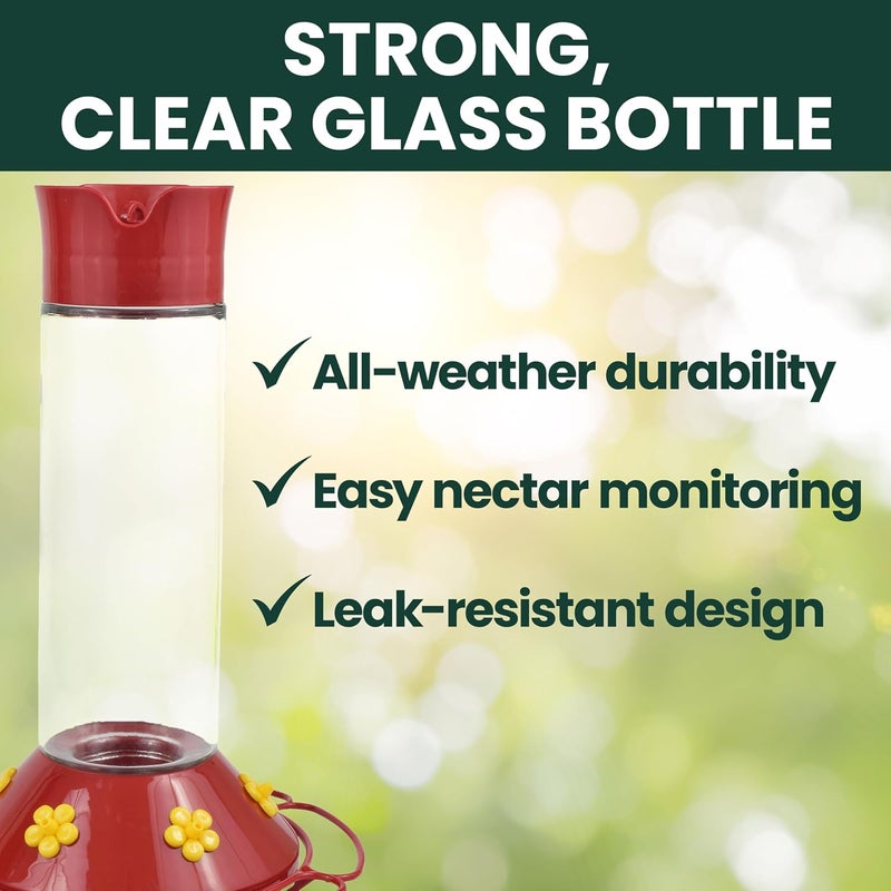 Perky-Pet 209B Our Best Glass Hummingbird Feeder, Red, 30 OZ - Image 2