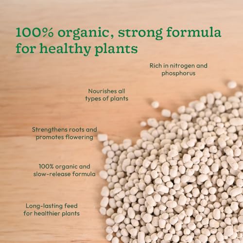 UGAOO Bio DAP Fertilizer for Plants, Home & Garden - 500 gms | Organic DAP Fertilizers For Plants Growth | Improves Flowering, Fruiting & Growth - Image 3