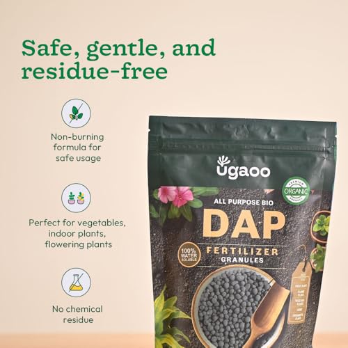 UGAOO Bio DAP Fertilizer for Plants, Home & Garden - 500 gms | Organic DAP Fertilizers For Plants Growth | Improves Flowering, Fruiting & Growth - Image 4