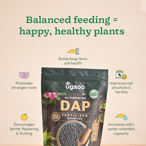 UGAOO Bio DAP Fertilizer for Plants, Home & Garden - 500 gms | Organic DAP Fertilizers For Plants Growth | Improves Flowering, Fruiting & Growth - Image 5