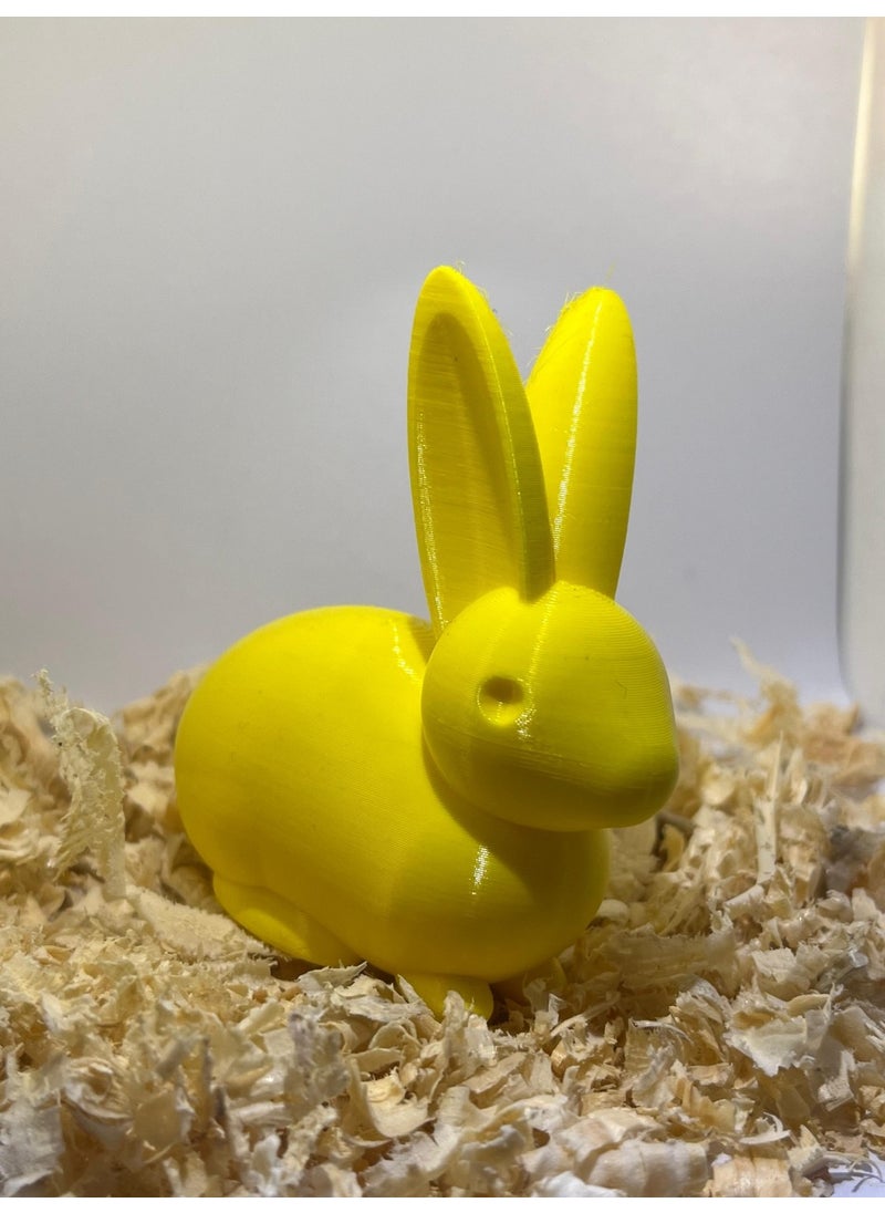 Epm3d Rabbit(Made from Organic Plastic)  - Image 1