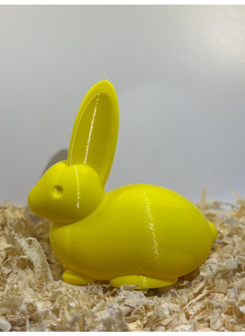 Epm3d Rabbit(Made from Organic Plastic)  - Image 2