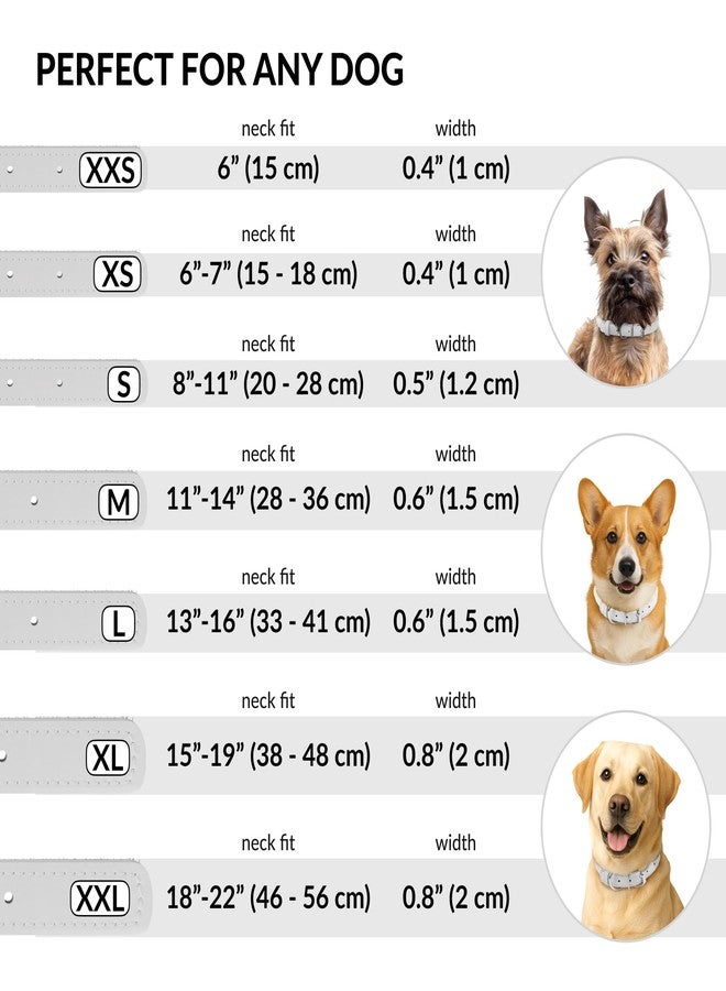 CollarDirect Rolled Leather Dog Collar, Soft Padded Round Puppy Collar, Handmade Genuine Leather Collar Dog Small Large Cat Collars 13 Colors (6-7 Inch, White Textured) - Image 4