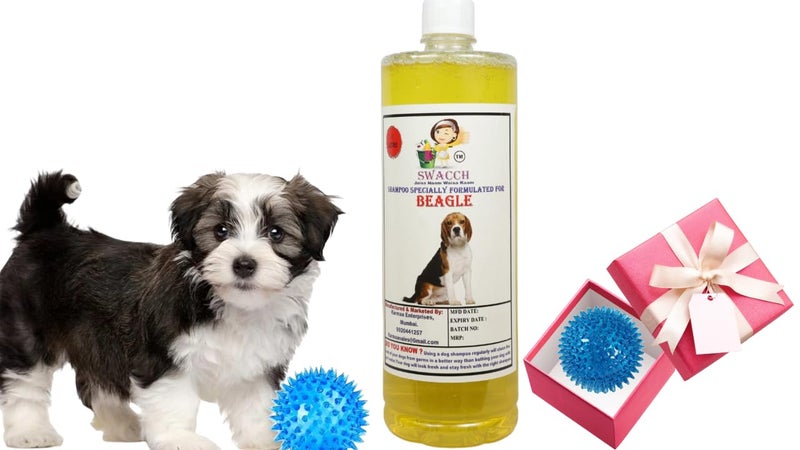 swacch Shampoo | Puppy Safe Shampoo | PH Balanced | Ditch to Itch for Beagle Dog Shampoo 1 Litre (Lemon) + Spike Ball Chew Toy Combo Pack - Image 1