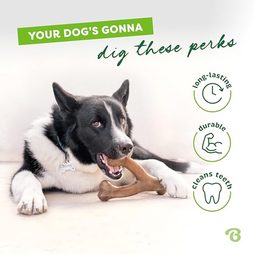 Benebone Wishbone Durable Dog Chew Toy for Aggressive Chewers, Real Peanut, Made in USA, Small, for Any breed - Image 3