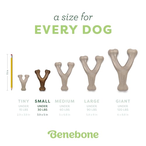 Benebone Wishbone Durable Dog Chew Toy for Aggressive Chewers, Real Peanut, Made in USA, Small, for Any breed - Image 4