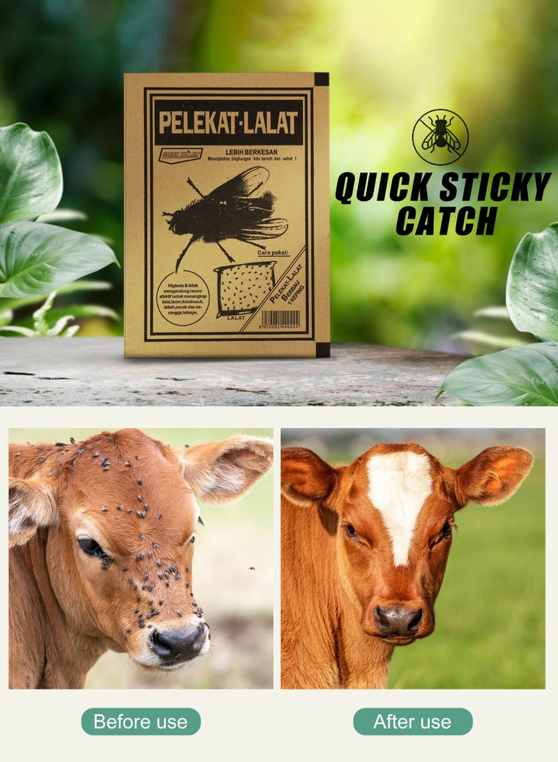 أوربازار 10 قطع من الفخاخ اللاصقة للاستخدام في الهواء الطلق أو في الهواء الطلق، صائد الحشرات الطائرة مثل Fruit Fly، حشرة المن، الذباب الأبيض، أوراق الشجر، البعوض، غنات الفطريات - Image 4