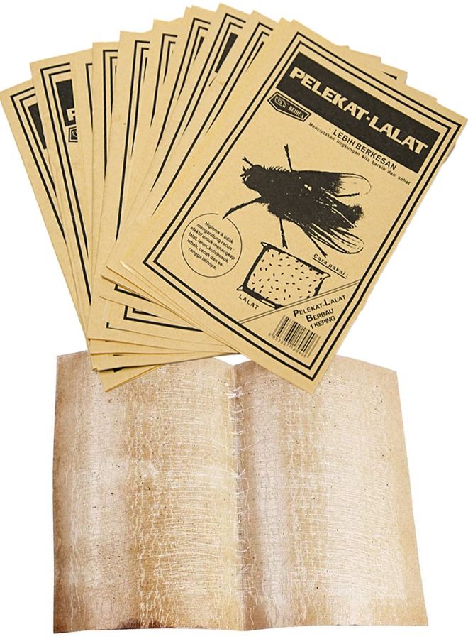 أوربازار 10 قطع من الفخاخ اللاصقة للاستخدام في الهواء الطلق أو في الهواء الطلق، صائد الحشرات الطائرة مثل Fruit Fly، حشرة المن، الذباب الأبيض، أوراق الشجر، البعوض، غنات الفطريات - Image 1