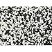 DecoPac Graduation Fusion Mix Candy Sprinkles 26oz Fancy Sprinkles in Handheld Container Edible Black And White Sprinkles For Celebration Cakes Cupcakes Cookies and Donuts - Image 3