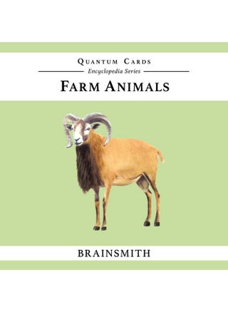 Brainsmith Quantum Flash Cards, Farm Animals - Educational Flashcard Set for Toddlers and Kids (8 months to 8 years) for Brain Development - pzsku/ZB3155EDDD13C831EB5BAZ/45/1743076552/d0d6269f-c20e-440f-8cb1-eeb807d6c6a5