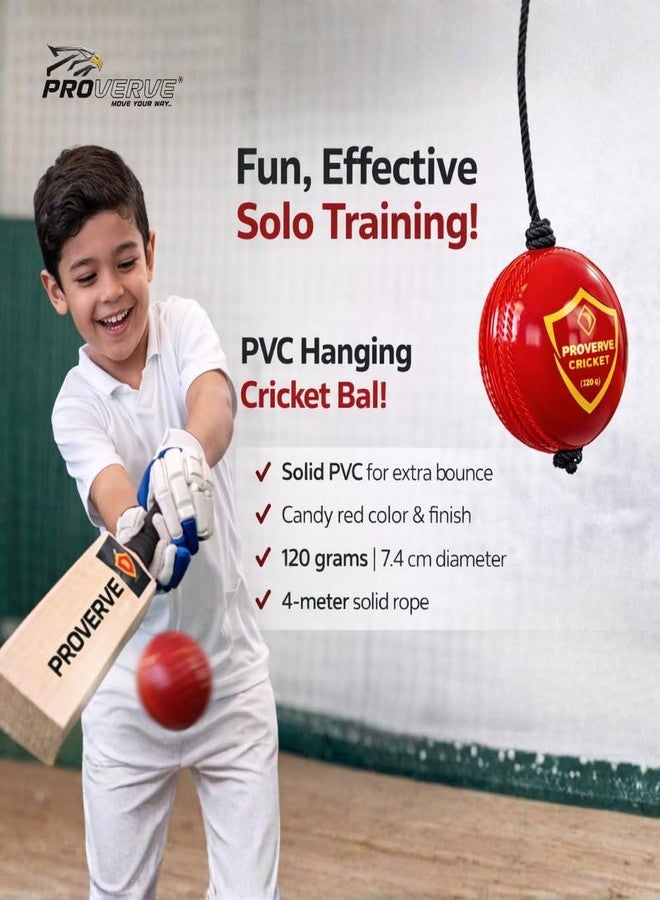 PROVERVE Hanging PVC Cricket Ball for Kids | Cricket Hanging Ball for Practice | Easy to Hang & Ideal for Indoor and Outdoor Batting and Heavy Training | Swing Ball for Adults Red,(Pack of 1) - Image 4