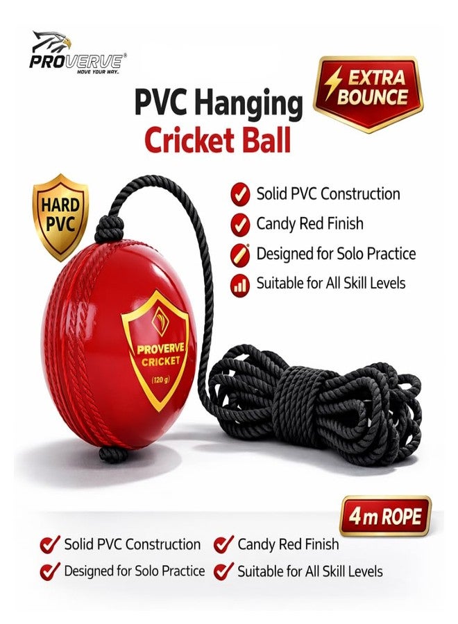PROVERVE Hanging PVC Cricket Ball for Kids | Cricket Hanging Ball for Practice | Easy to Hang & Ideal for Indoor and Outdoor Batting and Heavy Training | Swing Ball for Adults Red,(Pack of 1) - Image 3
