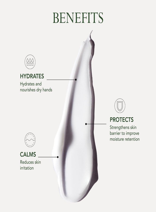 KAT BURKI Hand Therapy Moistuizing Cream with KB5 Complex, Safflower & Sunflower Oils, Hydrates, Soothes & Protects Dry Hands, 4.4 fl oz - Image 3