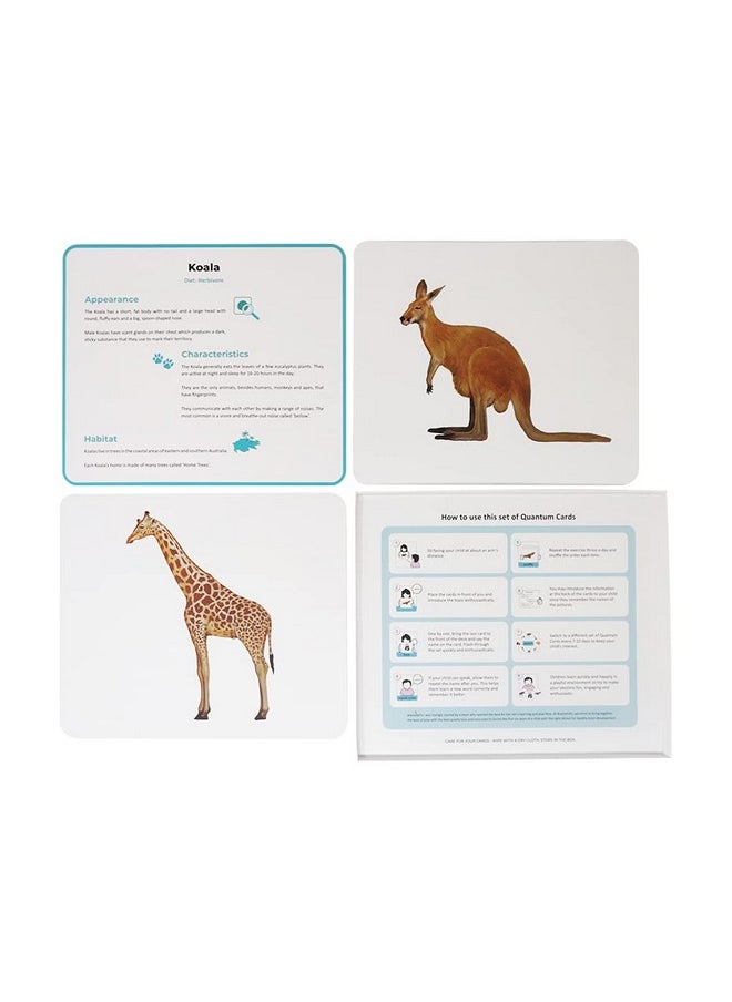 BRAINSMITH Brainsmith Quantum Flashcards, Mammals - Learning Flash Card Set 1 for Toddlers and Kids (8 months to 8 years) for Memory and Brain Development  - Image 3