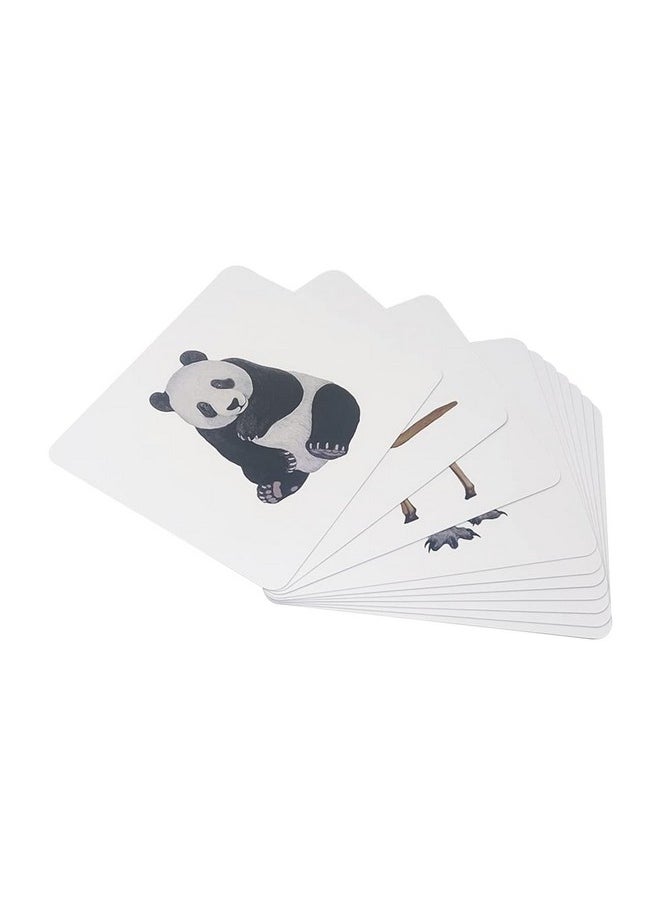 BRAINSMITH Brainsmith Quantum Flashcards, Mammals - Learning Flash Card Set 1 for Toddlers and Kids (8 months to 8 years) for Memory and Brain Development  - Image 2