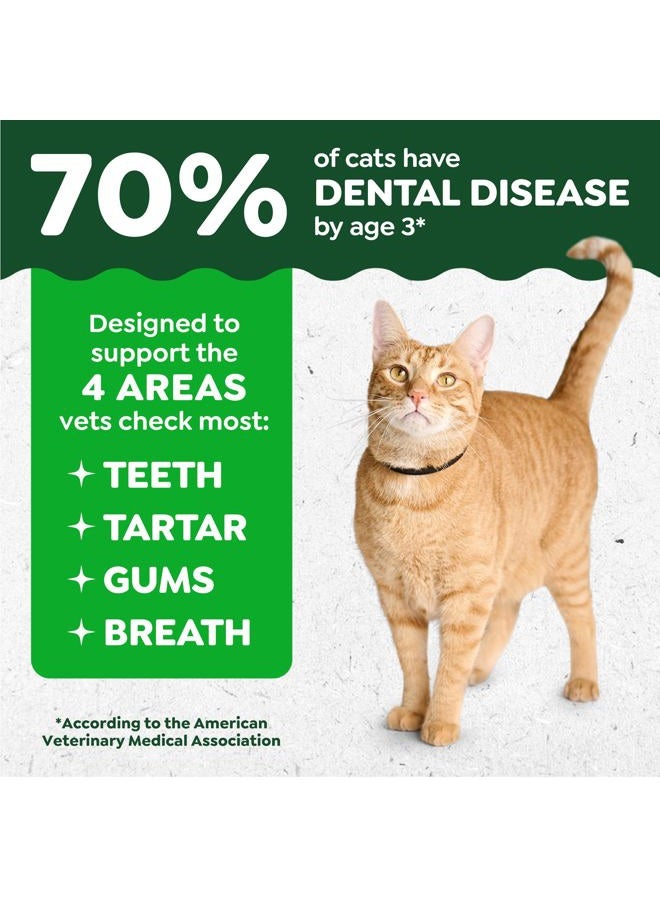 Greenies Feline Tempting Tuna Flavor Dental Cat Treats - Image 2